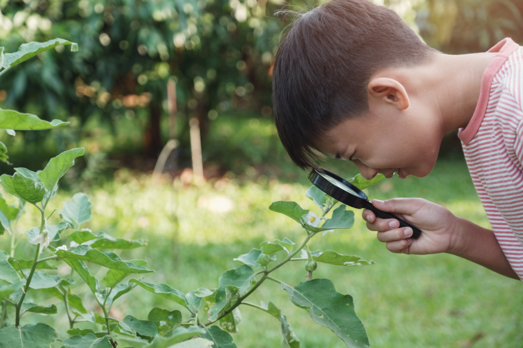 Montessori & Technology: Striking a Balance