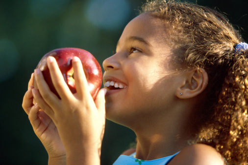 Healthy lunch ideas for your children