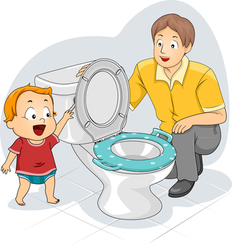 Different types of potty training seats