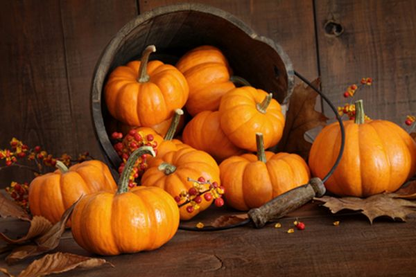 Fall Activities in Austin for Kids